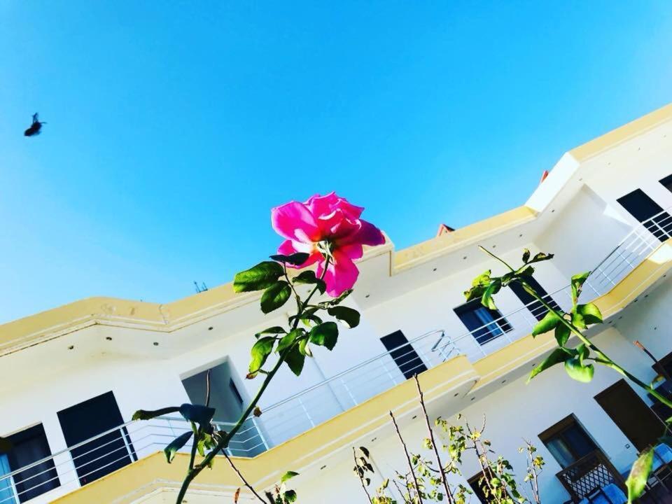 Kompleksi Turistik Edir Orikum Exterior foto